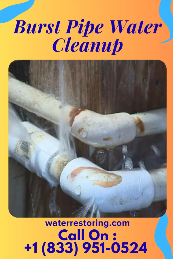 Burst Pipe Water Cleanup in Tradewinds, TX