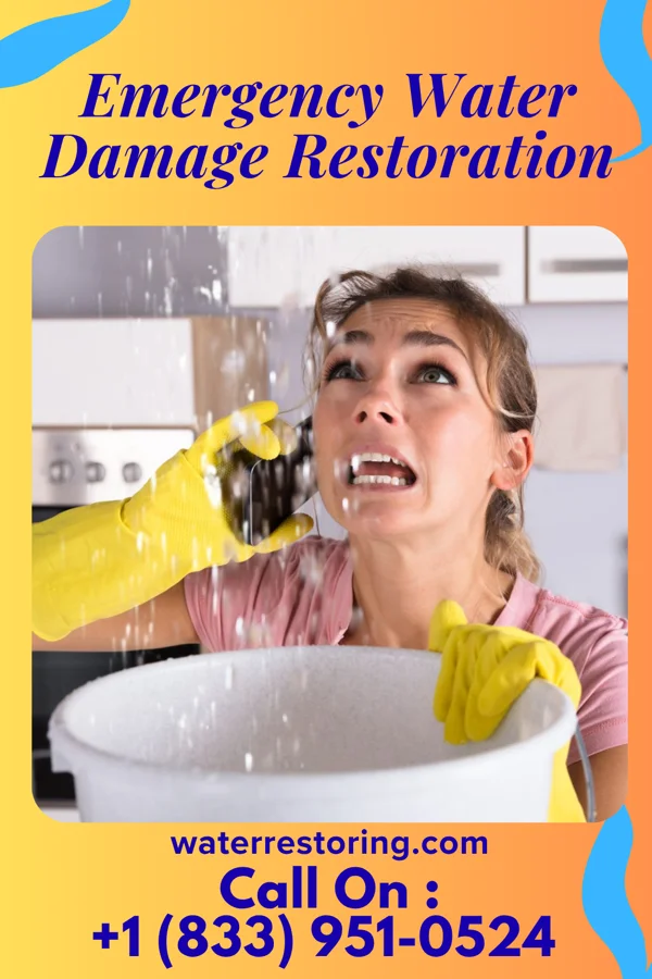 Emergency Water Damage Restoration in Tradewinds, TX