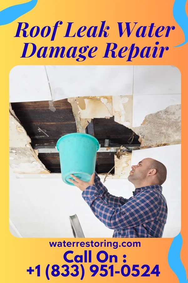 Roof Leak Water Damage Repair in Tradewinds, TX