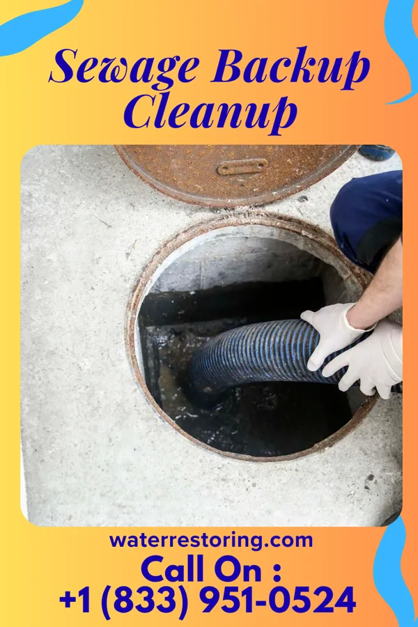 Sewage Backup Cleanup in Tradewinds, TX